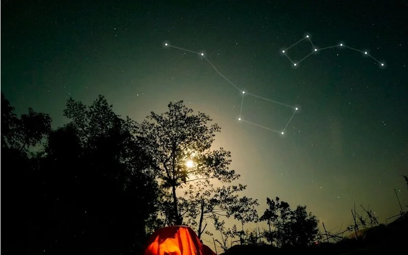 Starhoonga: Opening the Extraordinary Encounters of This Rising Brand ...